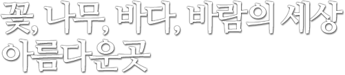 꽃나무바다바람의세상아름다운곳
