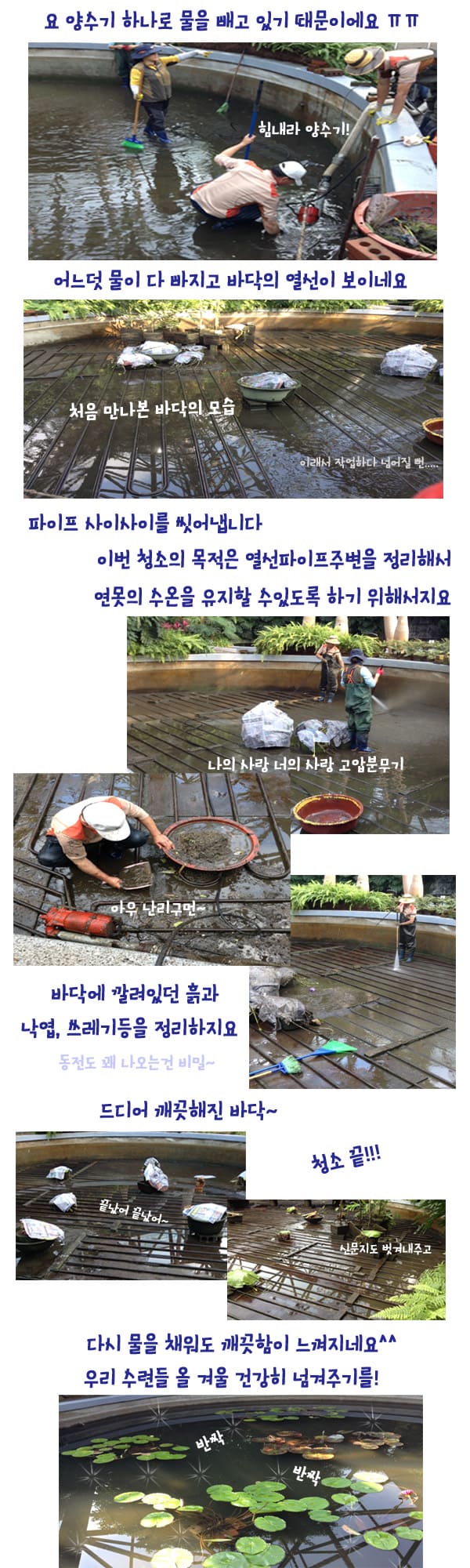 clean21.jpg