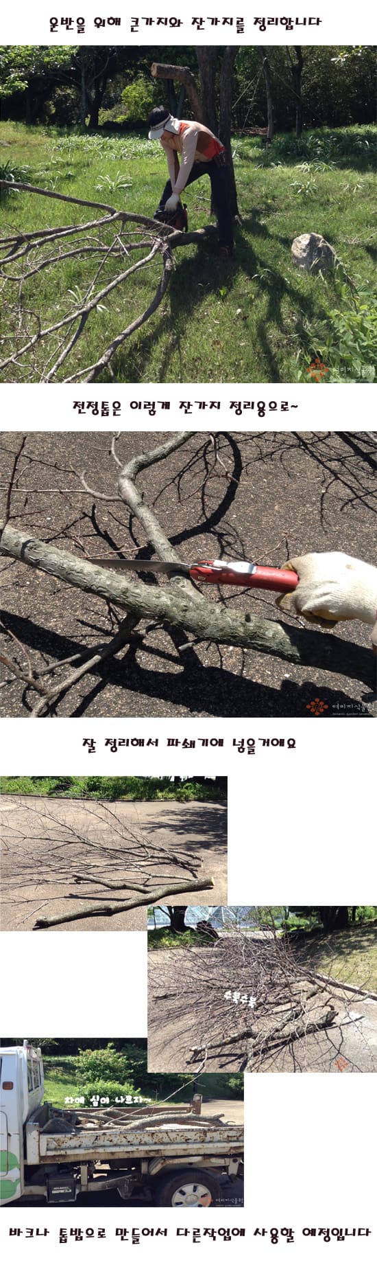 tree2.jpg