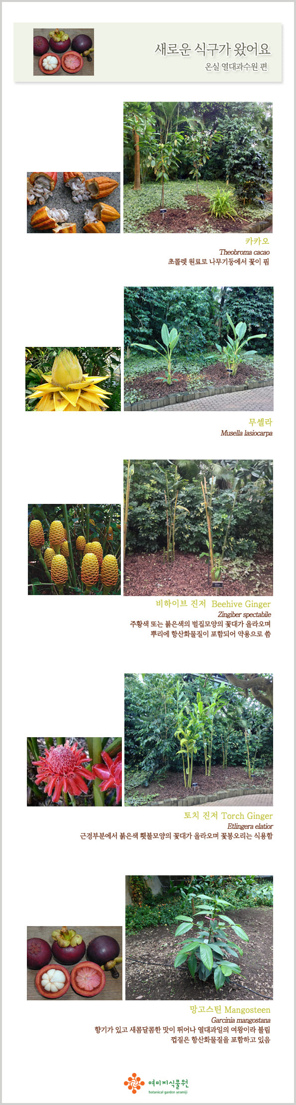 m.tropicalgarden..jpg