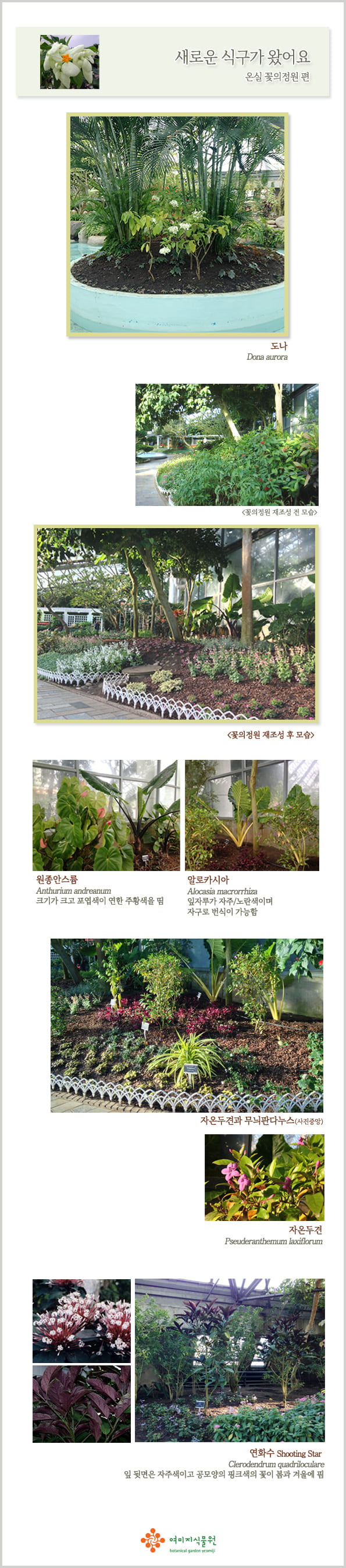 mflowergarden.jpg